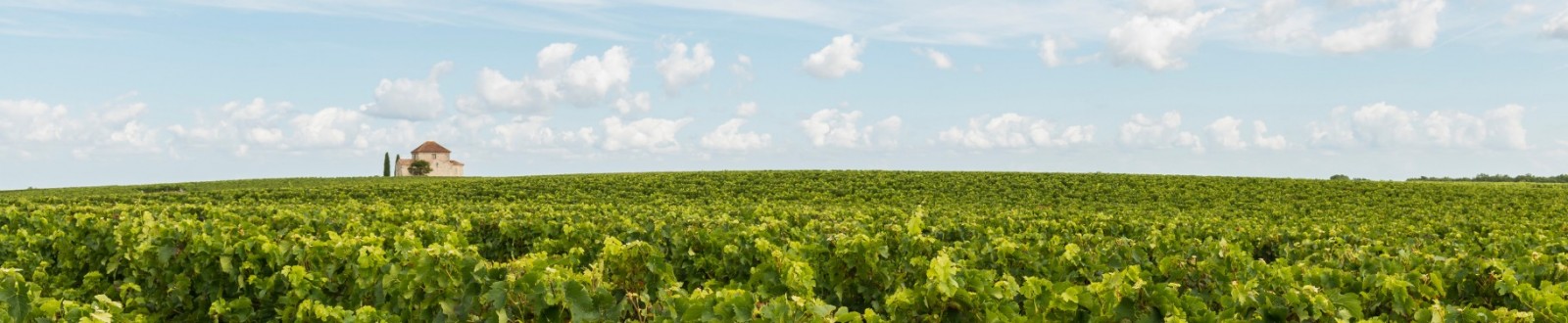 Château Calon Ségur