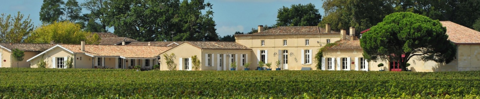 Domaine De Chevalier