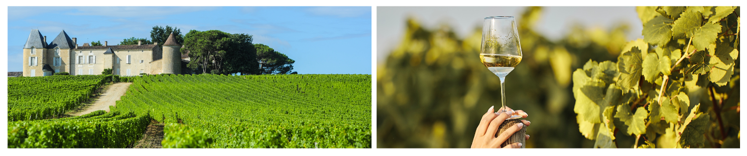 Château d'Yquem